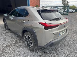 Lexus UX  picture 7