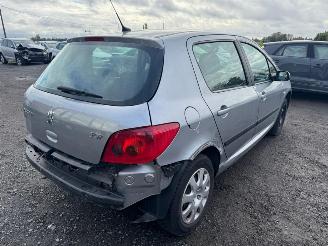 Peugeot 307  picture 5