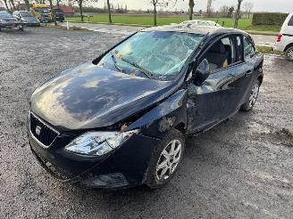 Coche accidentado Seat Ibiza  2009/9