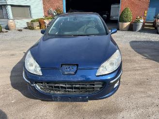 Peugeot 407  picture 13