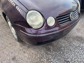 Volkswagen Polo IV picture 3