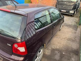 Volkswagen Polo IV picture 5