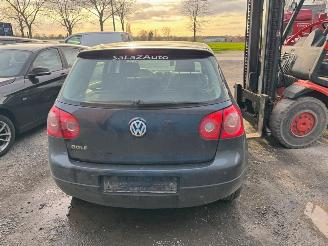 Volkswagen Golf V picture 4