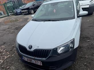 Vaurioauto  passenger cars Skoda Fabia III  AMBITION 2017/3
