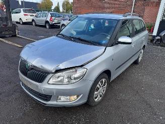Schadeauto Skoda Fabia  2011/1