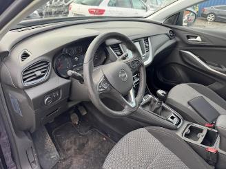 Opel Grandland X picture 15