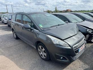 Peugeot 5008 I  STYLE picture 2