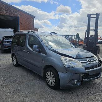 Citroën Berlingo II picture 6