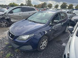 Damaged car Seat Ibiza  2009/4