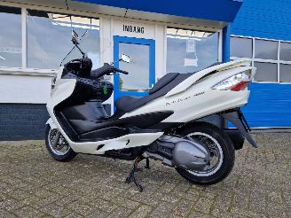 Suzuki  AN 400 BURGMAN picture 13