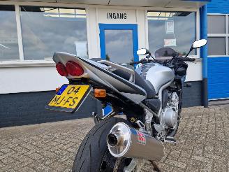 Yamaha  FZS 1000 FAZER picture 9