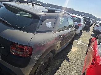 Citroën C4 cactus  picture 6