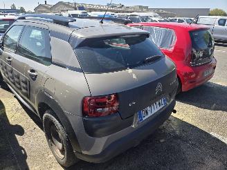 Citroën C4 cactus  picture 4