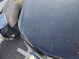 Opel Antara  picture 5