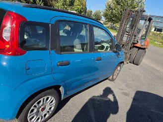 Fiat Panda  picture 6