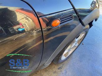 Mini Mini  picture 25