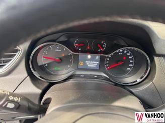 Opel Grandland X picture 21