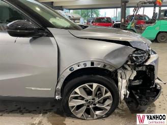 DS Automobiles DS 3 CROSSBACK picture 7