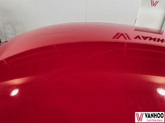 Volkswagen Beetle  picture 14