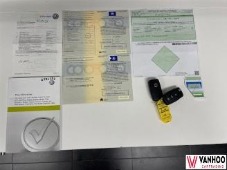 Volkswagen Beetle  picture 24