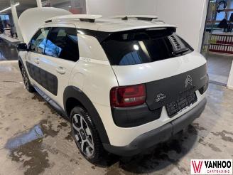 Citroën C4 CACTUS picture 12
