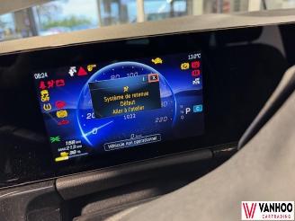 Mercedes EQA  picture 21