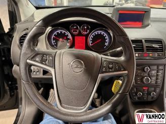 Opel Meriva  picture 16