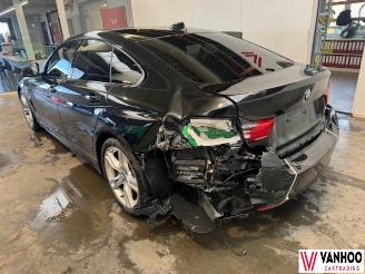 BMW 4-serie GRAN COUPE picture 6