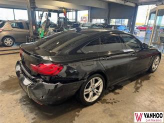 BMW 4-serie GRAN COUPE picture 4