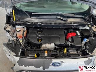 Ford Transit  picture 10