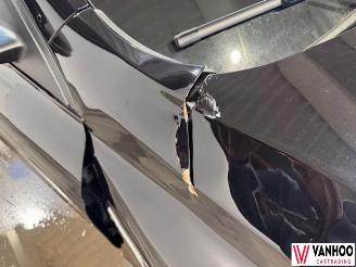 Renault Arkana  picture 6