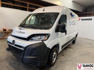uszkodzony samochody osobowe Opel Movano  2024/11