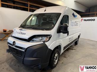 škoda osobní automobily Opel Movano  2024/11