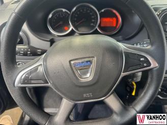 Dacia Dokker  picture 14