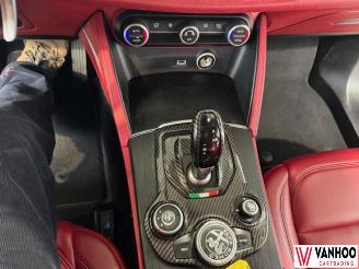 Alfa Romeo Stelvio  picture 22