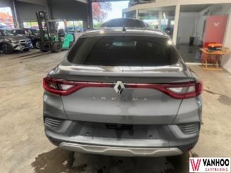 Renault Arkana  picture 14