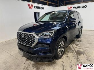 Auto incidentate Ssang yong Rexton  2021/6
