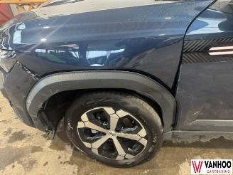 Dacia Bigster  picture 6