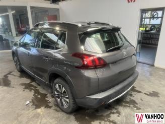 Peugeot 2008  picture 10