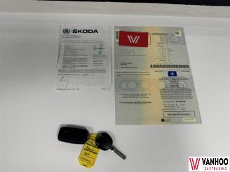 Skoda Rapid  picture 21