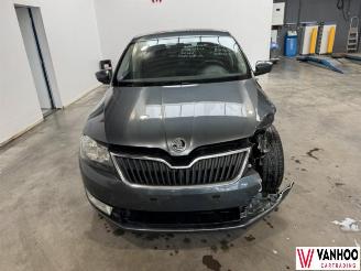 Skoda Rapid  picture 4