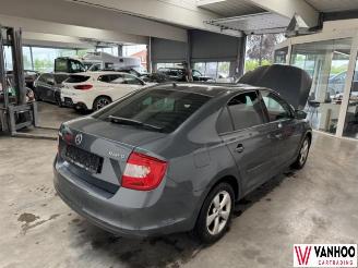 Skoda Rapid  picture 6