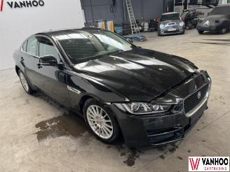 Jaguar XE  picture 4