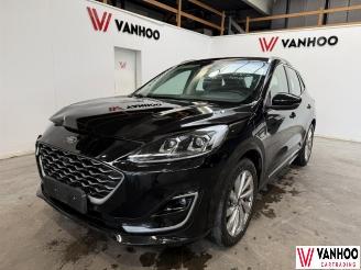 Schadeauto Ford Kuga  2021/1
