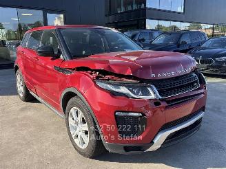 Unfallwagen Land Rover Range Rover ROVER EVOQUE 2019/4