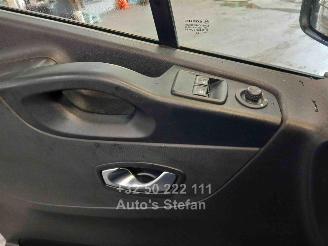 Renault Trafic SPACECLASS picture 15