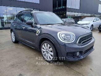 uszkodzony samochody osobowe Mini Cooper SE COUNTRYMAN 4ALL 2019/12
