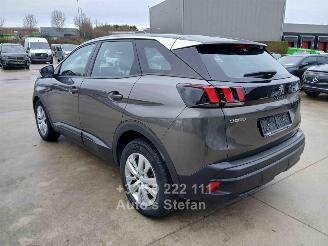 Peugeot 3008 ACTIVE picture 4