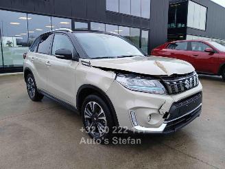 damaged passenger cars Suzuki Vitara  2024/1