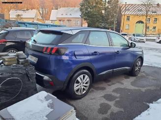 Peugeot 3008 ACTIVE picture 14